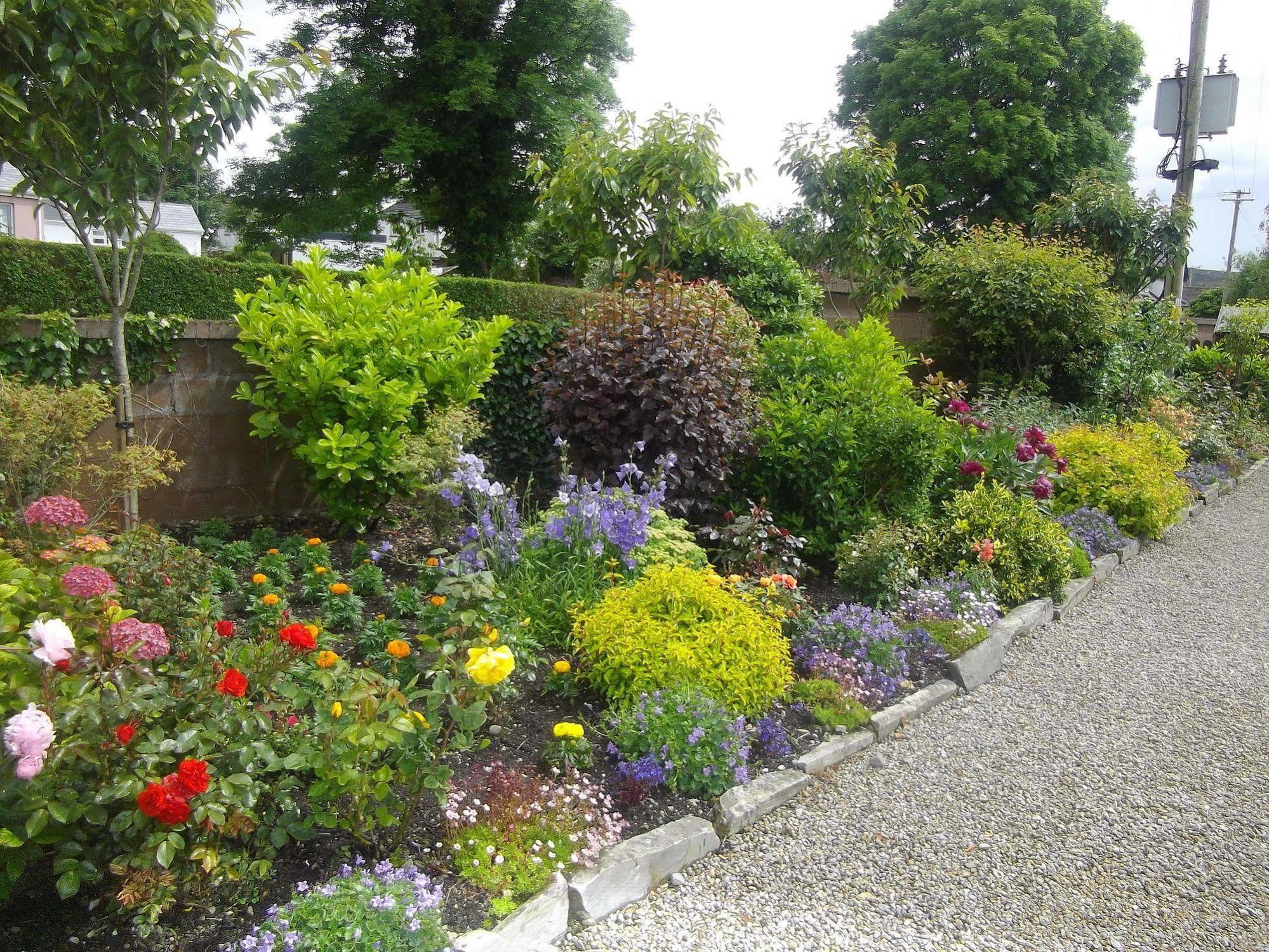 Quay West Ireland Bed and Breakfast Westport Eksteriør billede