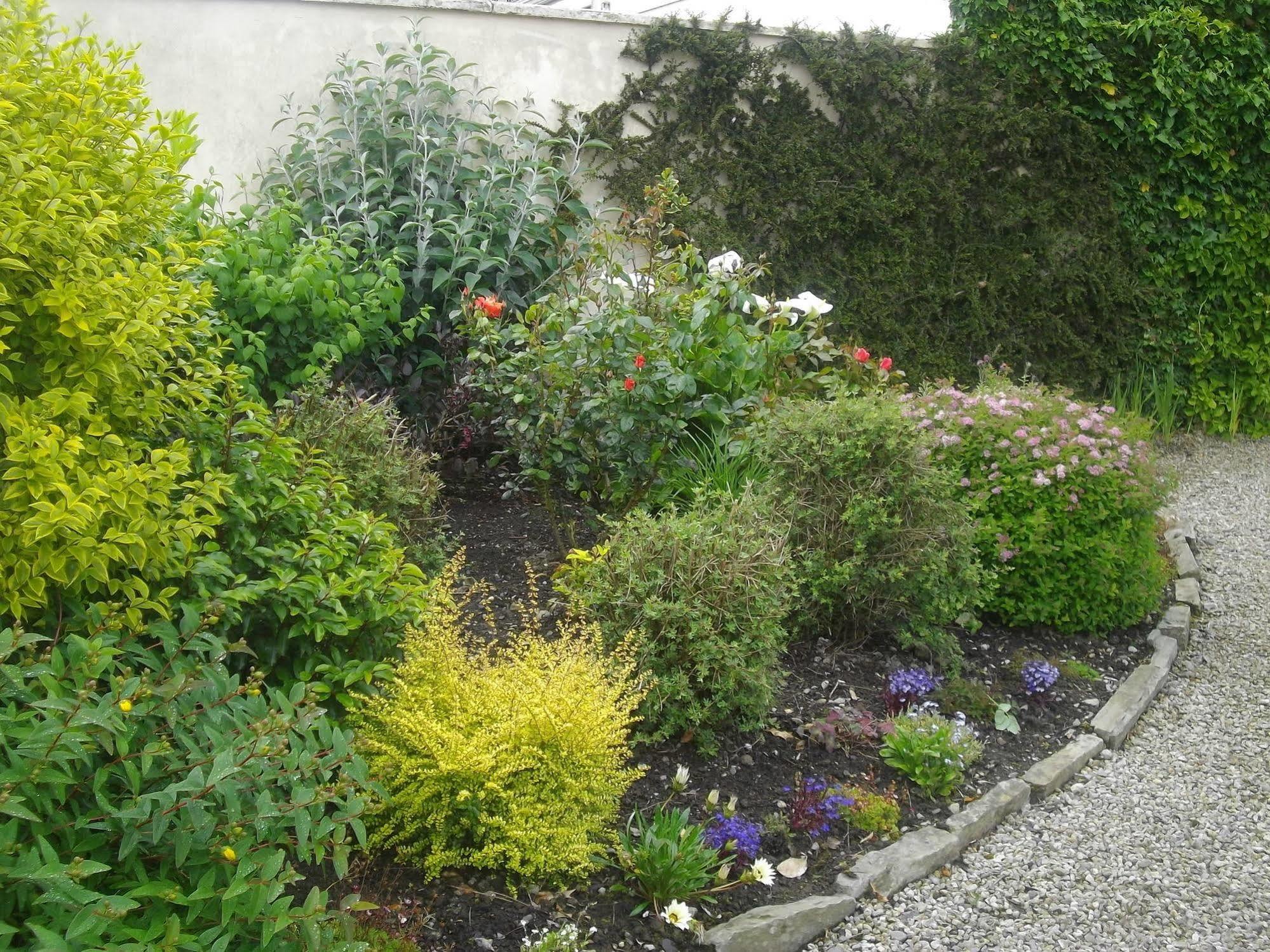 Quay West Ireland Bed and Breakfast Westport Eksteriør billede